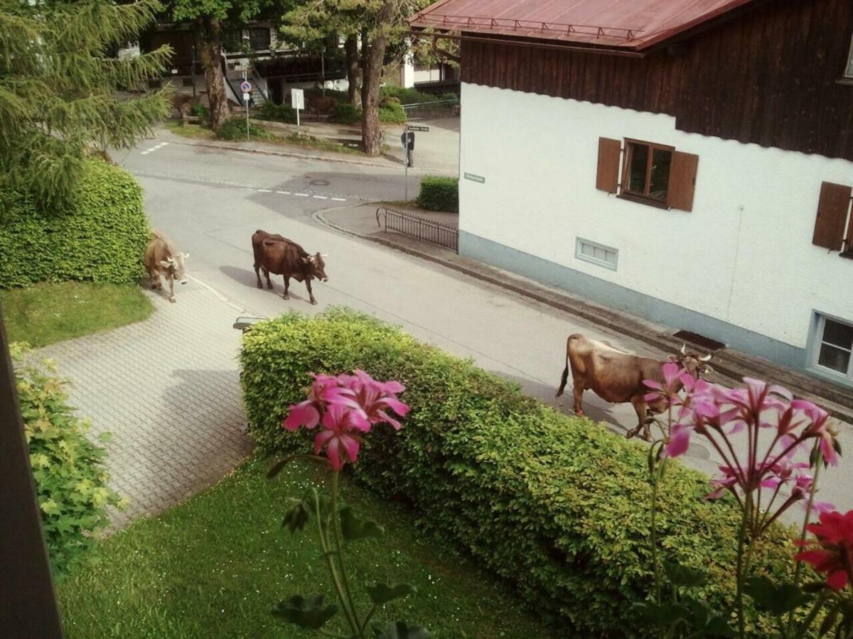 Ferienwohnung Bergblick - Allgaeublick 巴特欣德朗 外观 照片